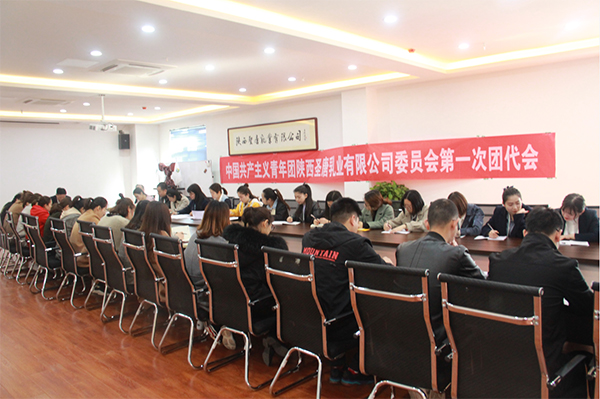 热烈祝贺中国共产主义青年团陕西圣唐乳业有限公司委员会第一次团代会胜利召开